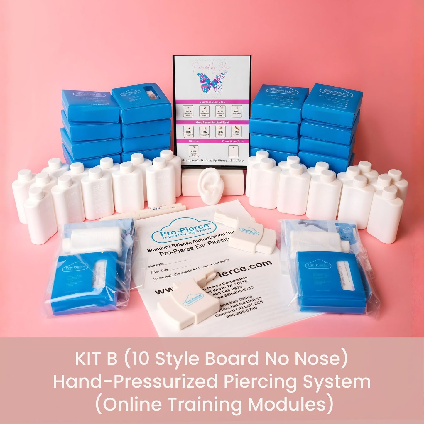 Kit B (10 Style Board-No Nose) Hand-Pressurized System Online Modules Training